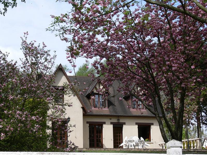 Mont Saint Michel 2010 - 269.jpg